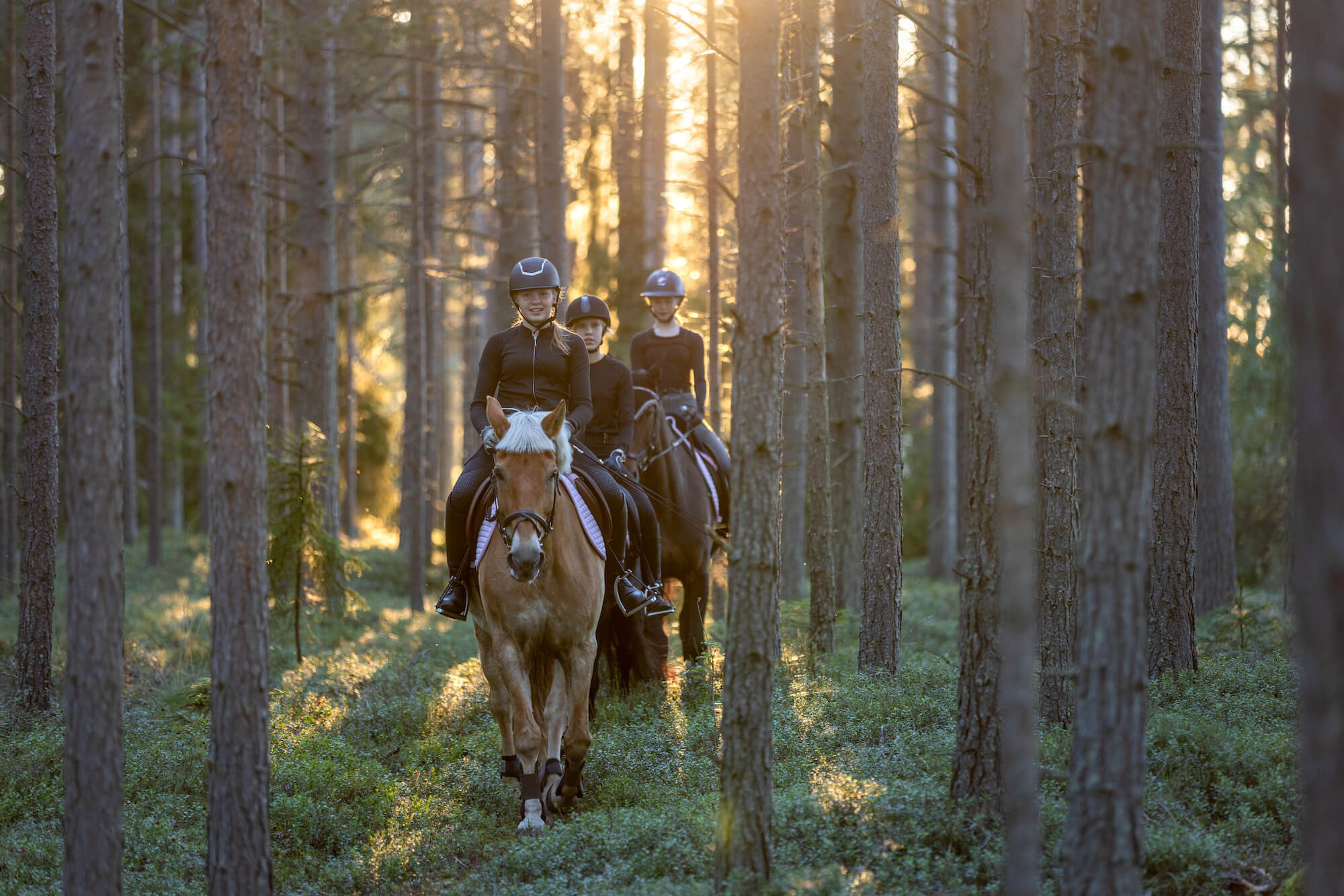 VisitKalajoki_BeachHorseStable