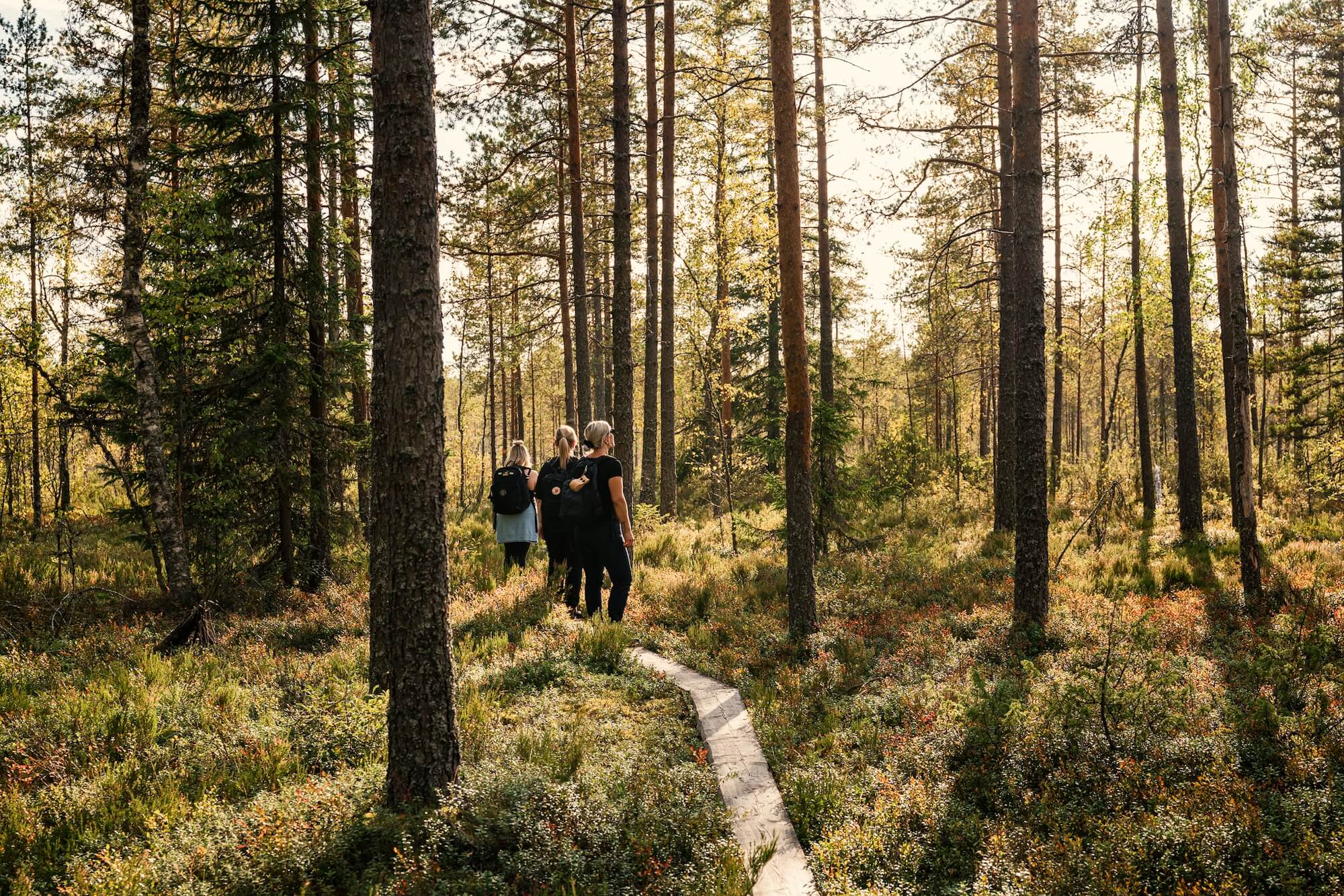 Hannu_Ikonen_Lauhanvuori_Hameenkangas_UNESCO_Global_Geopark_DSC_1333