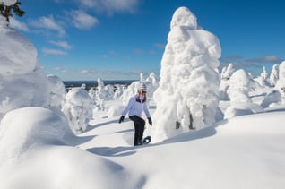 Schneeschuhwandern im Nationalpark Syöte