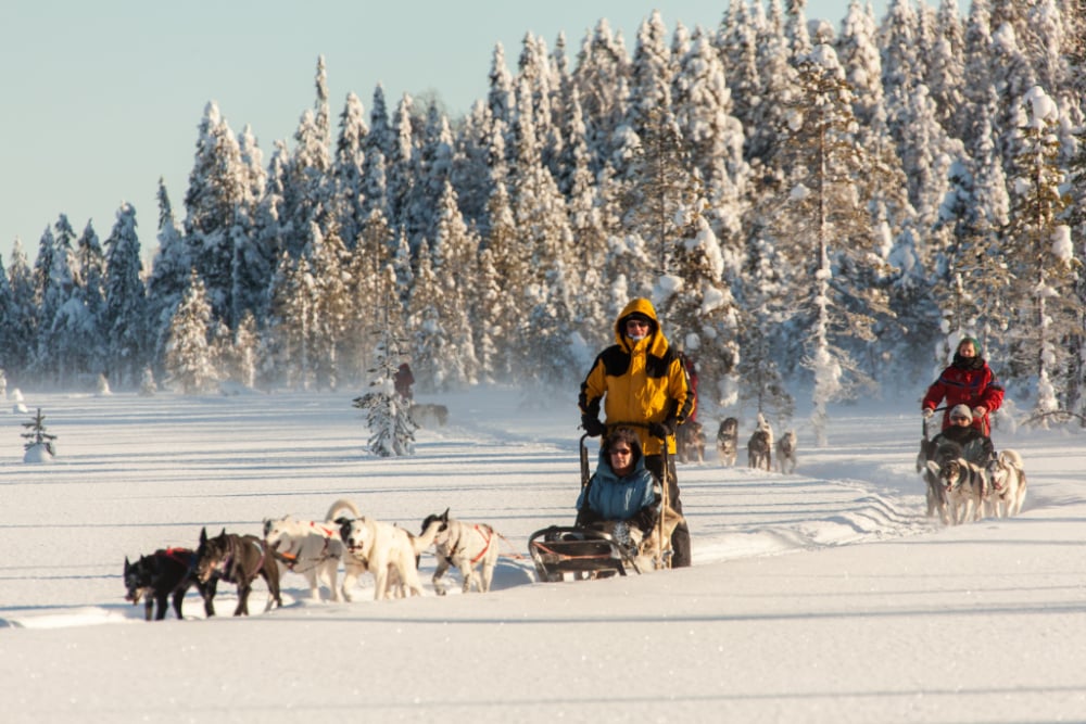 Syote-Iso-Syote-Winter-Wochenprogramm-Hundeschlitten