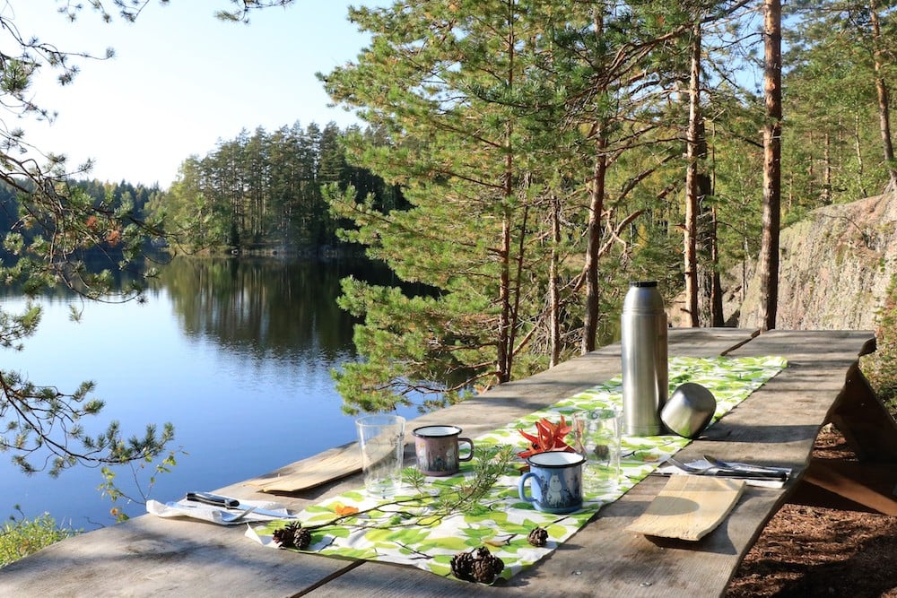 My Finland - Barbeque und Picknick