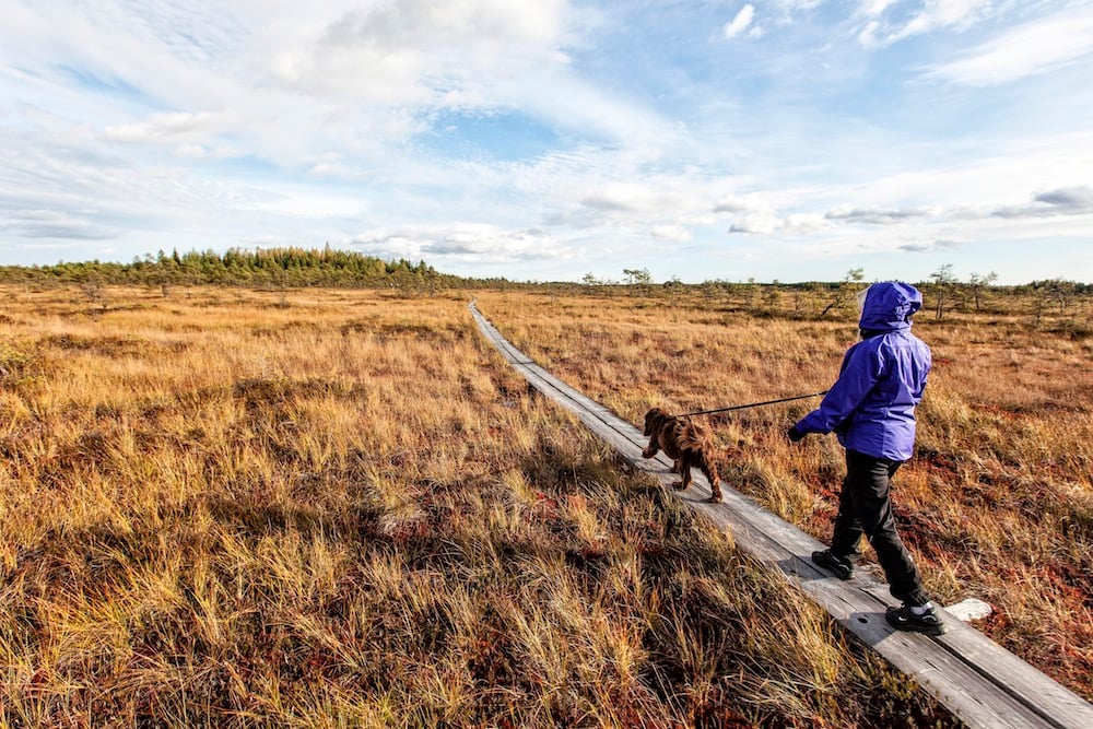 Nationalpark Kouvola u. Kotka-Hamina - Valkmusa National Park