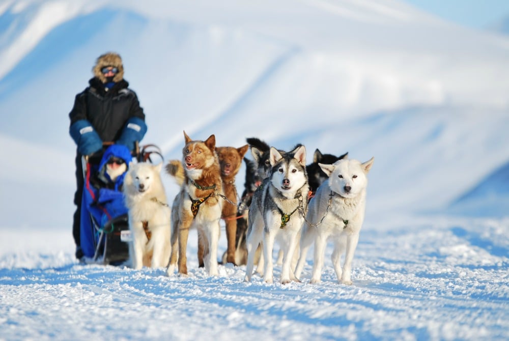 ITB Aussteller - Basecamp Explorer Spitsbergen