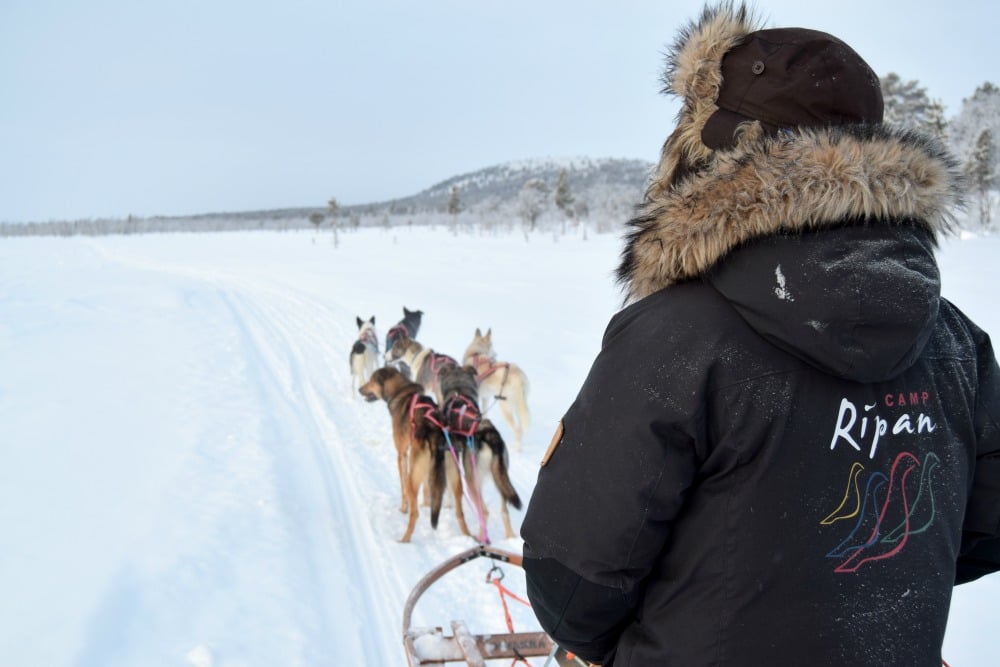 Camp_Ripan_Acitivity_Winter_dogsled_driver1_HuskyHome_Photo_LinneaLundkvist_1000
