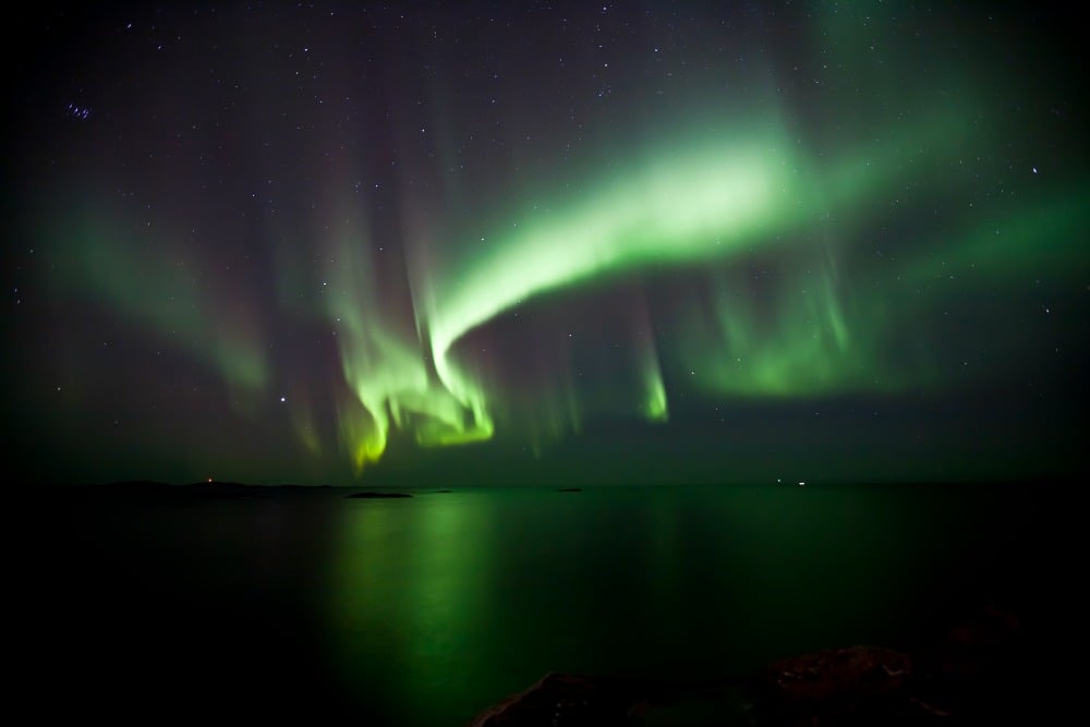 ITB Aussteller Whalesafari Andenes