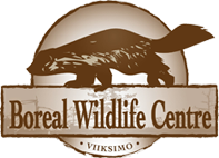 Logo Boreal Wildlife Centre