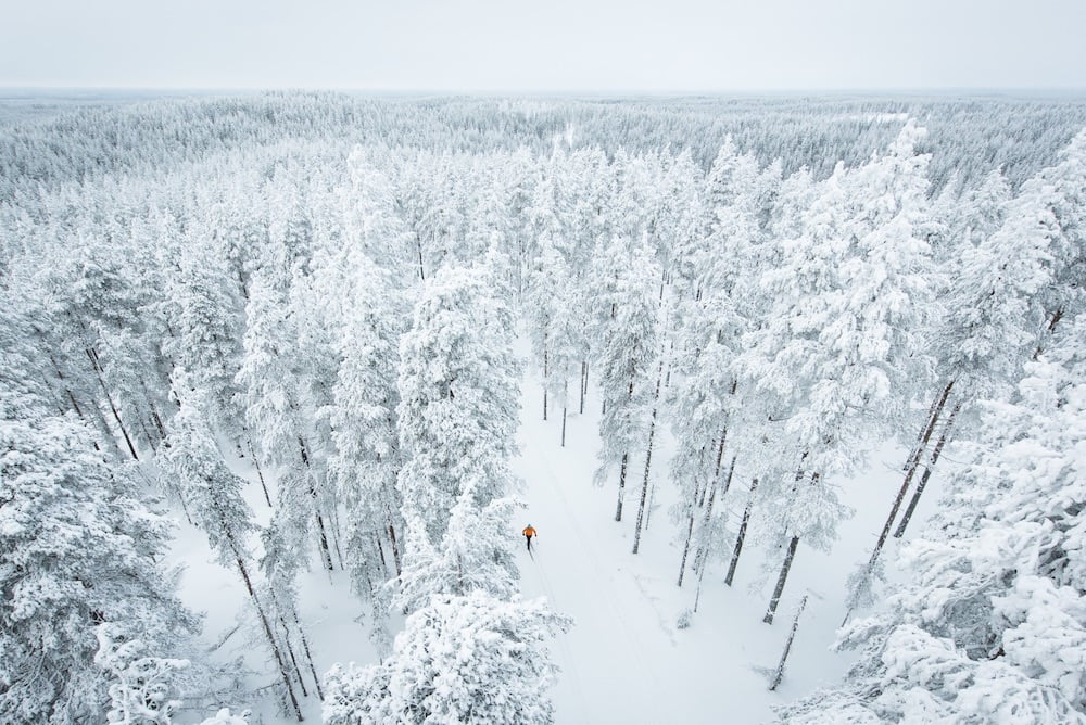 Rokua Winter