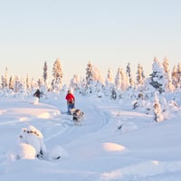 Heart of Lapland Landing Page