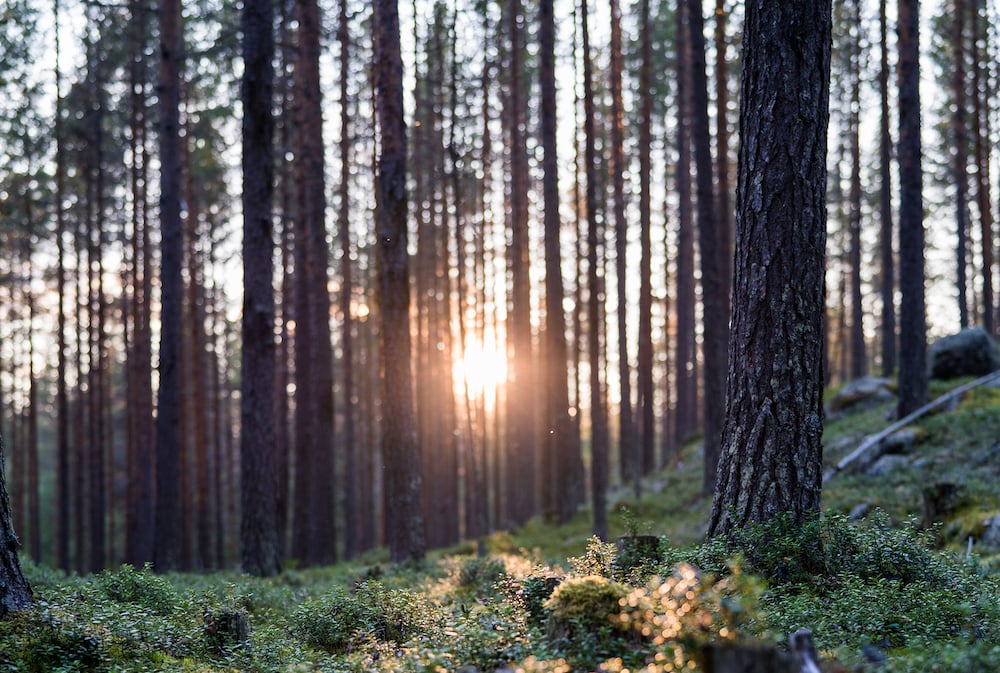Schwedisch Lappland Header
