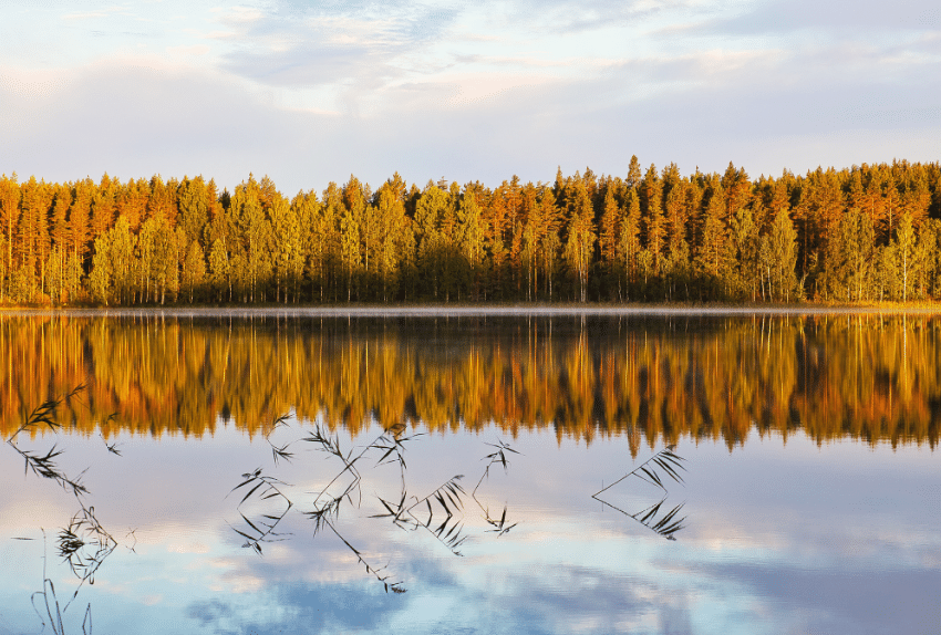 Finnish Dawn@Andrea Varetto / 500px