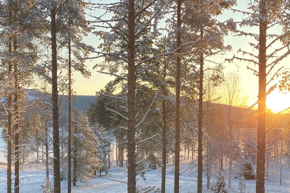 #NordicNews-Erlebnisse-26022020