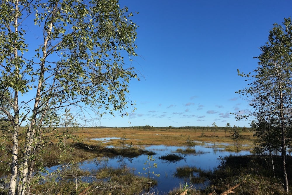 Sommer in Syöte