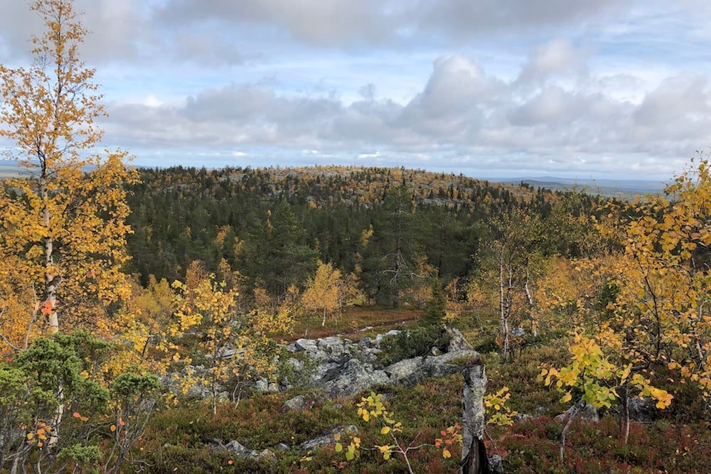 #NordicNews-Finnland-10062020