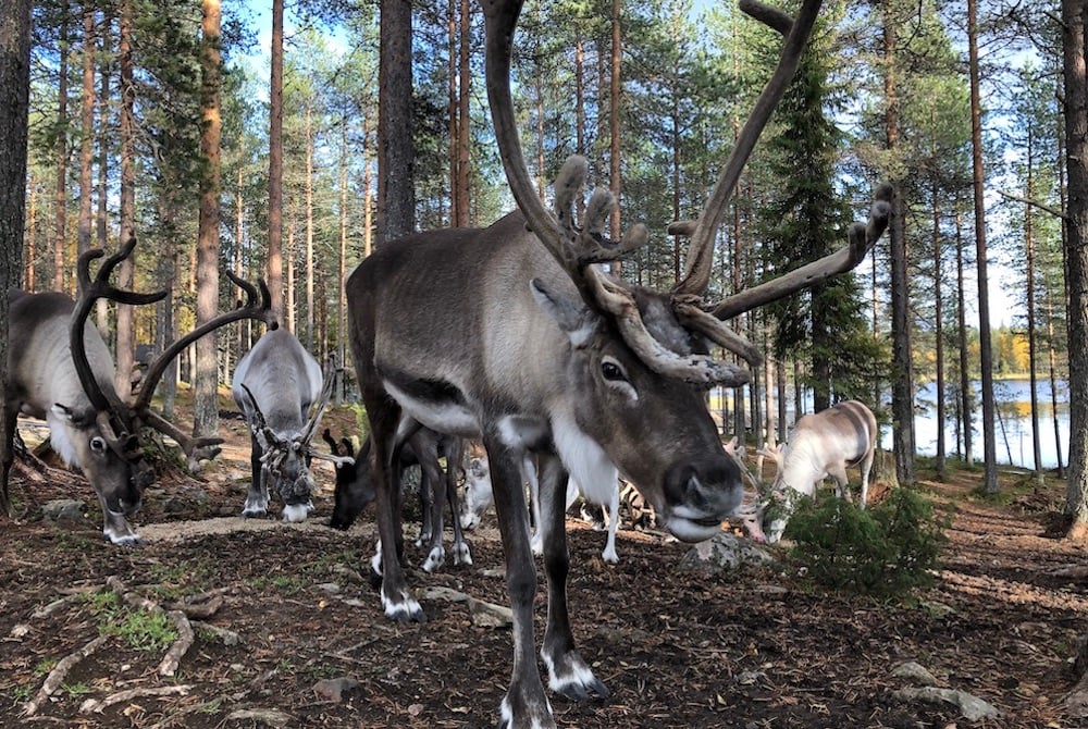 #NordicNews MåntagsNews 07102019
