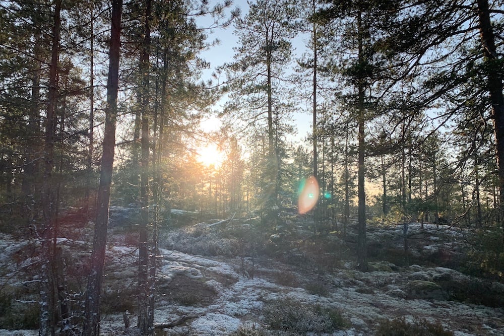 #NordicNews-MåntagsNews-18112019