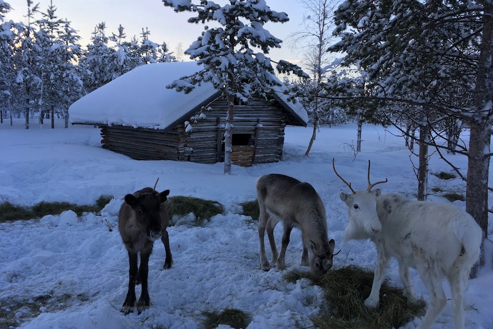 #NordicNews-MåntagsNews-20012020