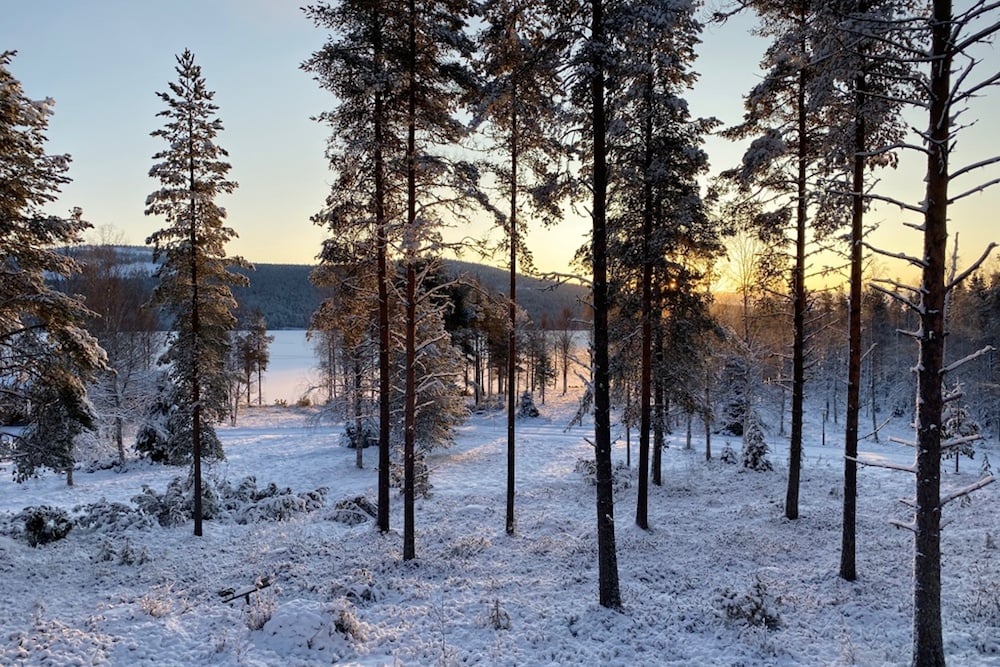#NordicNews-Nachhaltigkeit-11022020