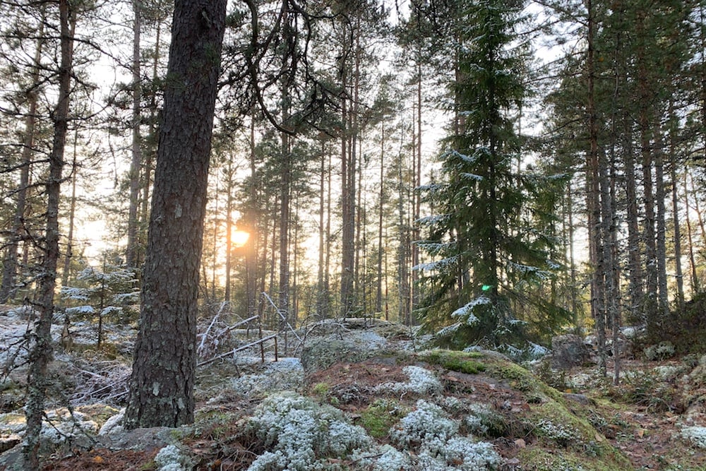 #NordicNews-Nachhaltigkeit-25022020