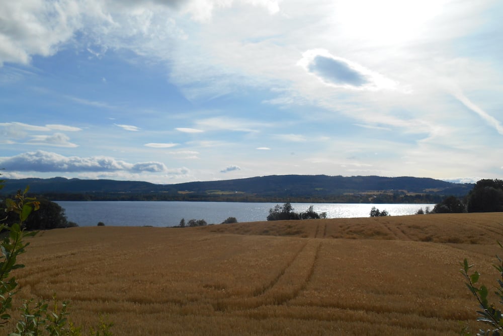 #NordicNews-Reisebranche-17032020