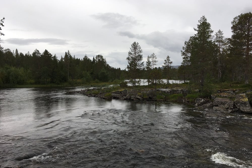 #NordicNews-Reisebranche-26032020