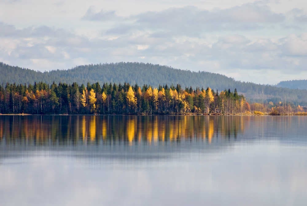 Kemijärvi-ruska