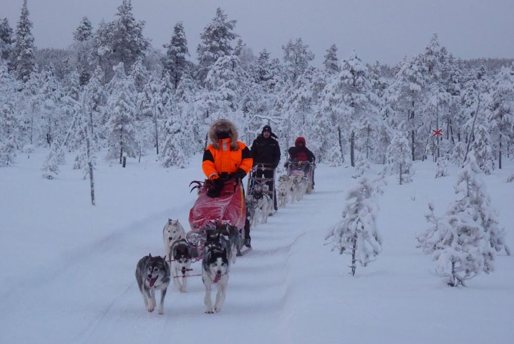 Huskysafari mit Aurora Borealis Adventure