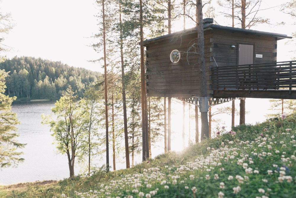 Granö Beckasin-Vogel Nest