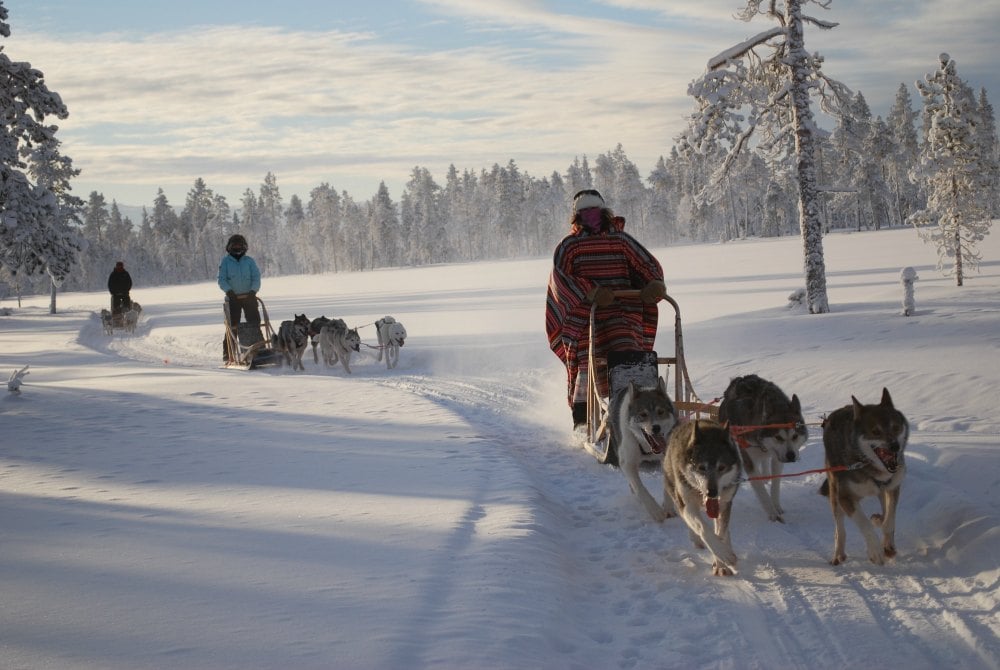 Huskysafari in Levi