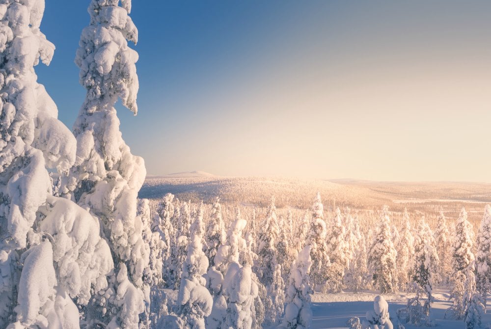 Winterlandschaft in levi