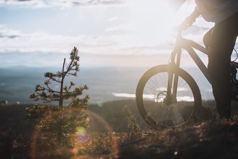 Mountainbiking im Fjäll