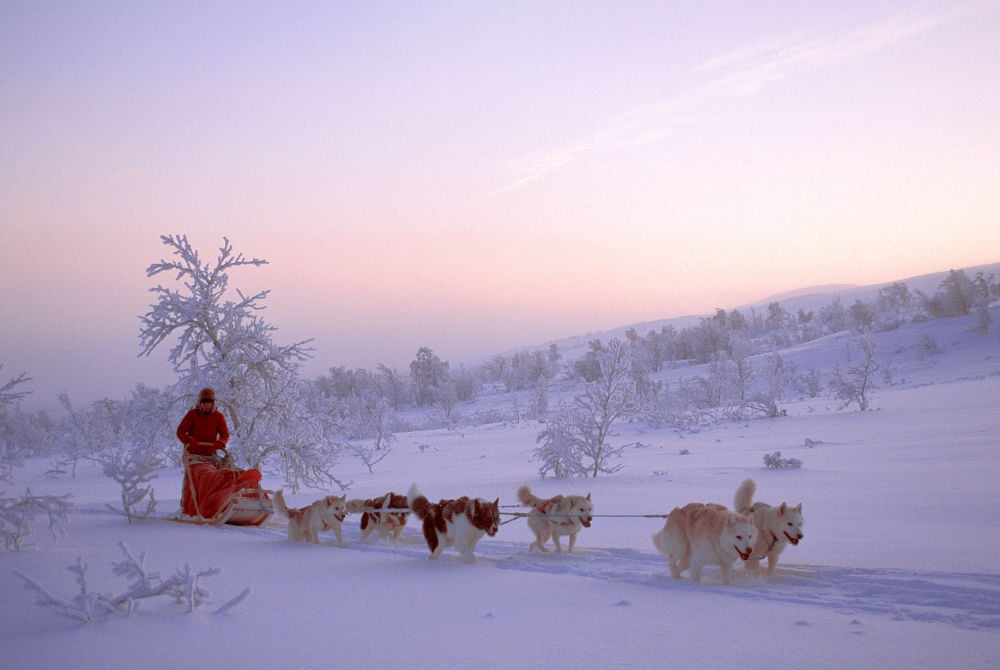 Travel like a local-husky sled-copyright-Bjorn-Klauer-www.nordnorge.com