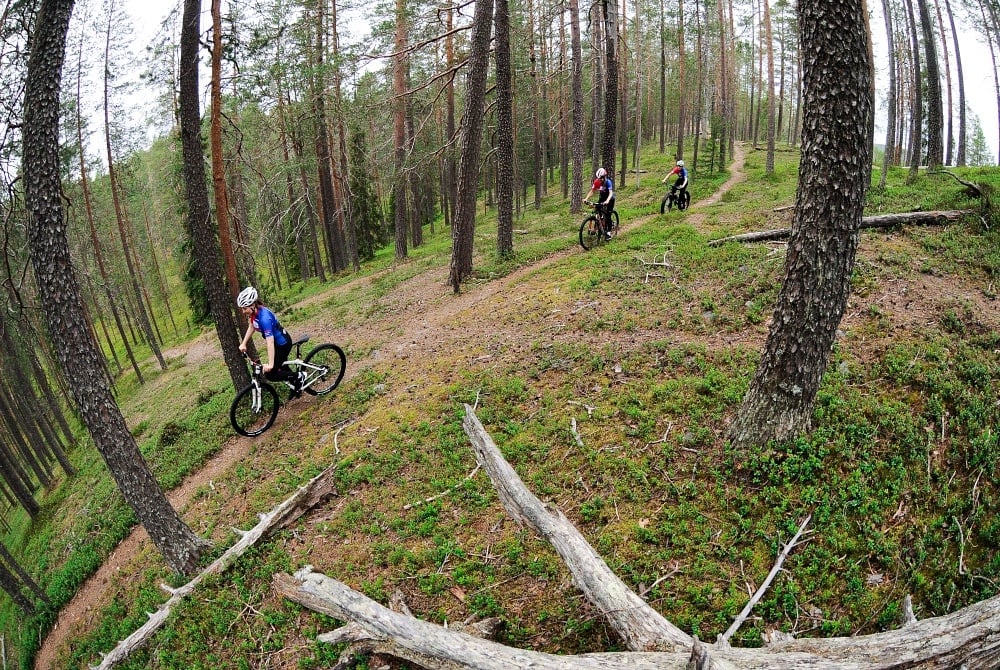 Lapland Bike Hotel - Radtour durch die Wälder