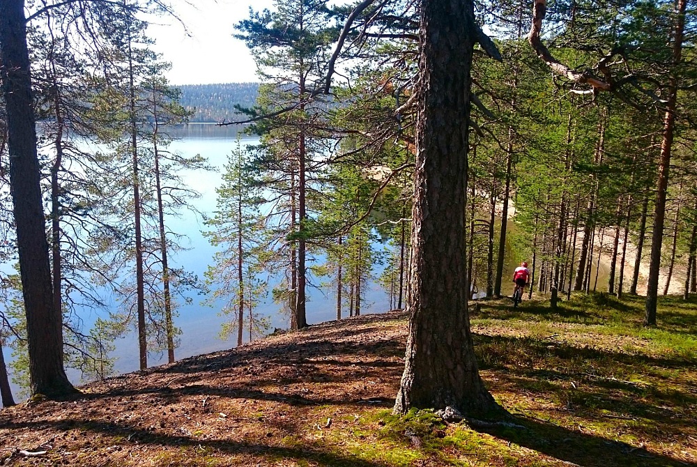 Mountainbike-Tour in Syöte