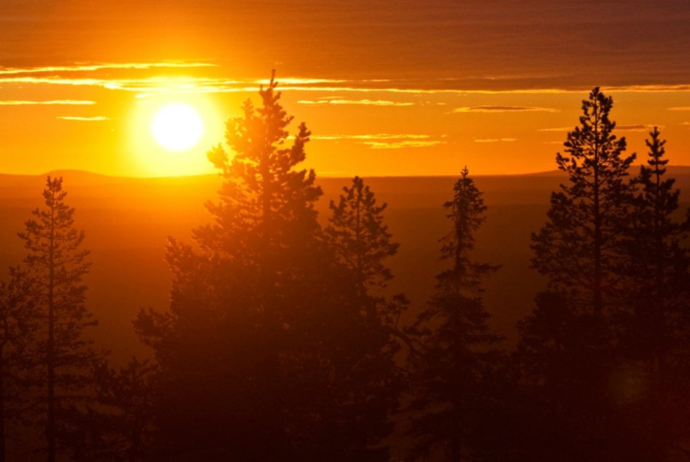 Lapland Safaris Sommer Landschaft