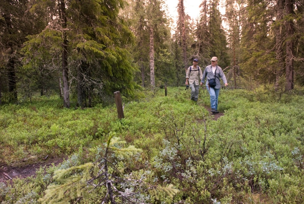 Wandern in Syöte