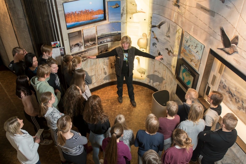 Liminka Besucherzentrum - Ausstellung „Die 8 Jahreszeiten des Vogeljahres"
