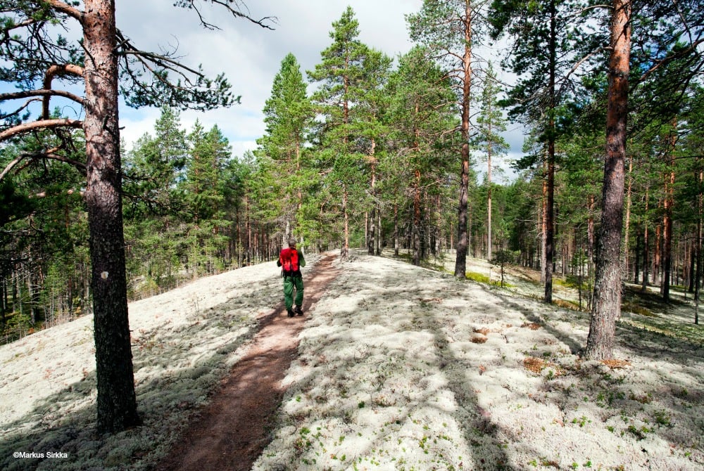 Wandern im Nationalpark Rokua