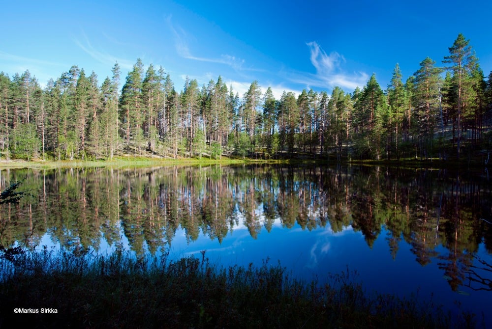Rokua_Nationalpark_Landscape