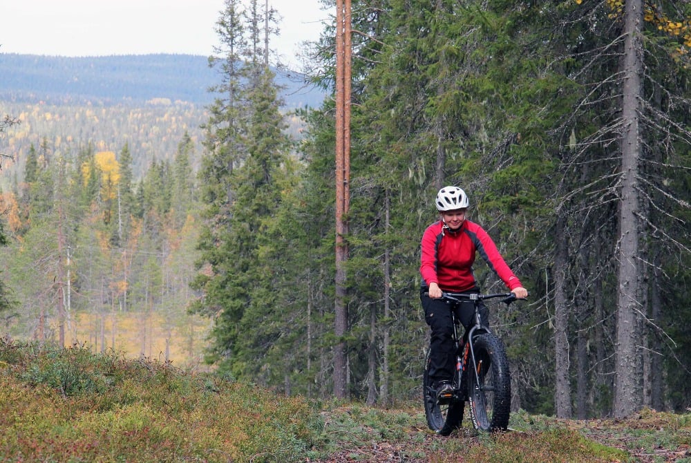 Syöte_national_park_1_1000