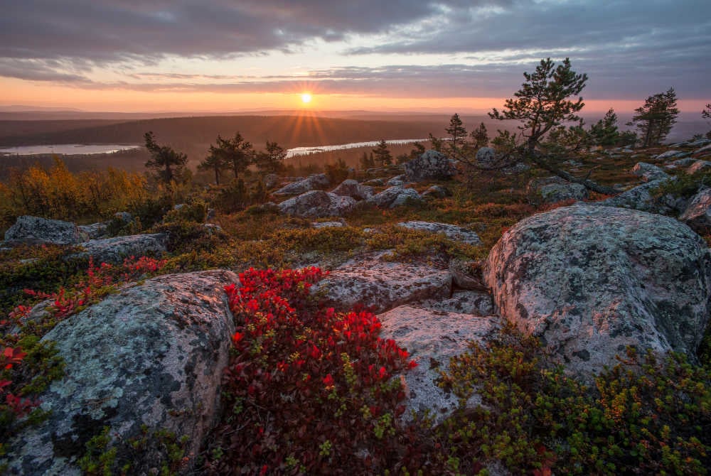 Salla-Herbst