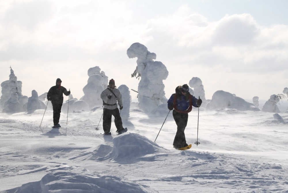 Salla-Schneeschuhwandern
