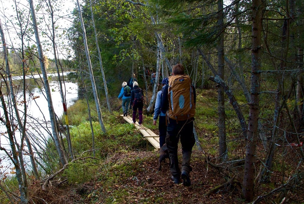 Stormyrbergets-Lantgård-Wandern-auf-dem-Solanderleden
