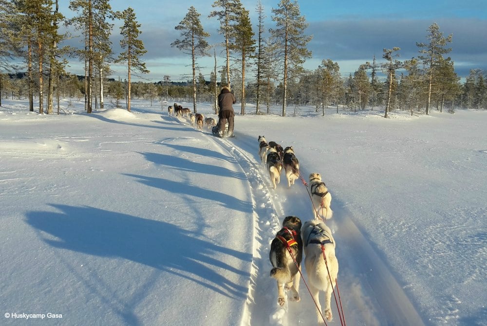 Huskycamp Gasa-Hundeschlittentour in Arjeplog