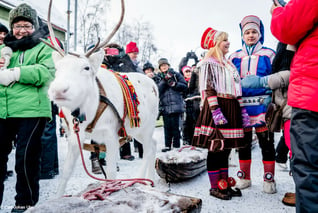 Jokkmokk Wintermarkt-samische Kultur-Rentier-copyright Carl-Johan Utsi