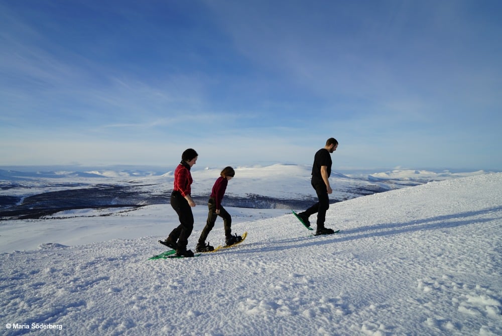 Silver-Resort-Schneeschuhwandern-Arjeplog-Foto-Maria-Söderberg_1000-1