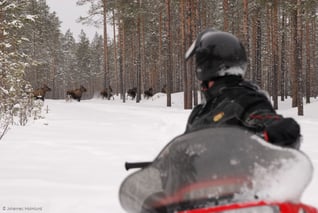 Burträsk Camping-Snowmobile-Johannes Holmlund