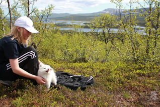 Camp Ripan-Wanderung mit Huskys