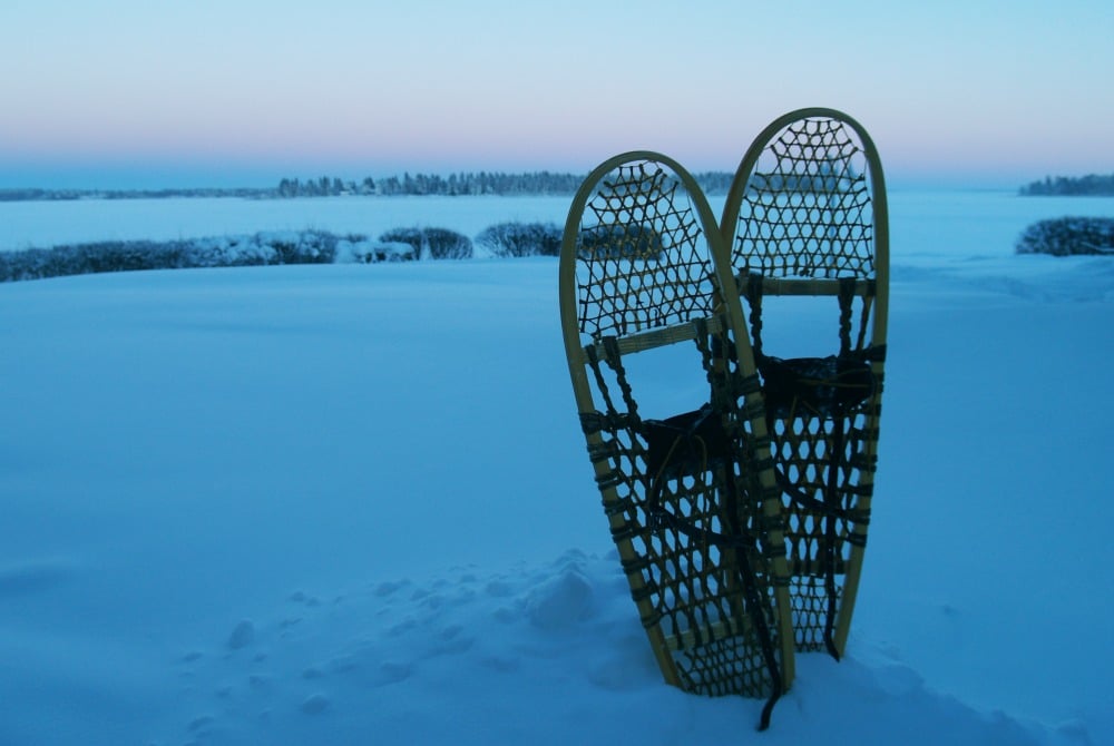 Wildtier-Tracking in Piteå