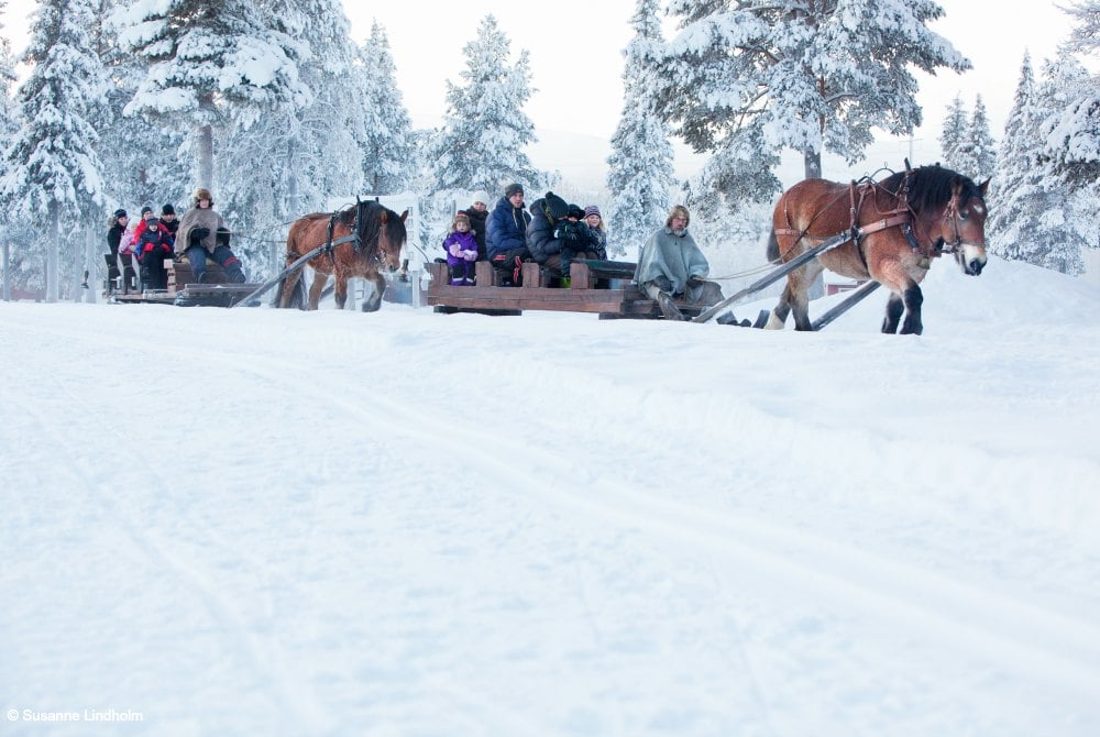 Magic of Lapland-Pferdeschlittenfart by Susanne Lindholm