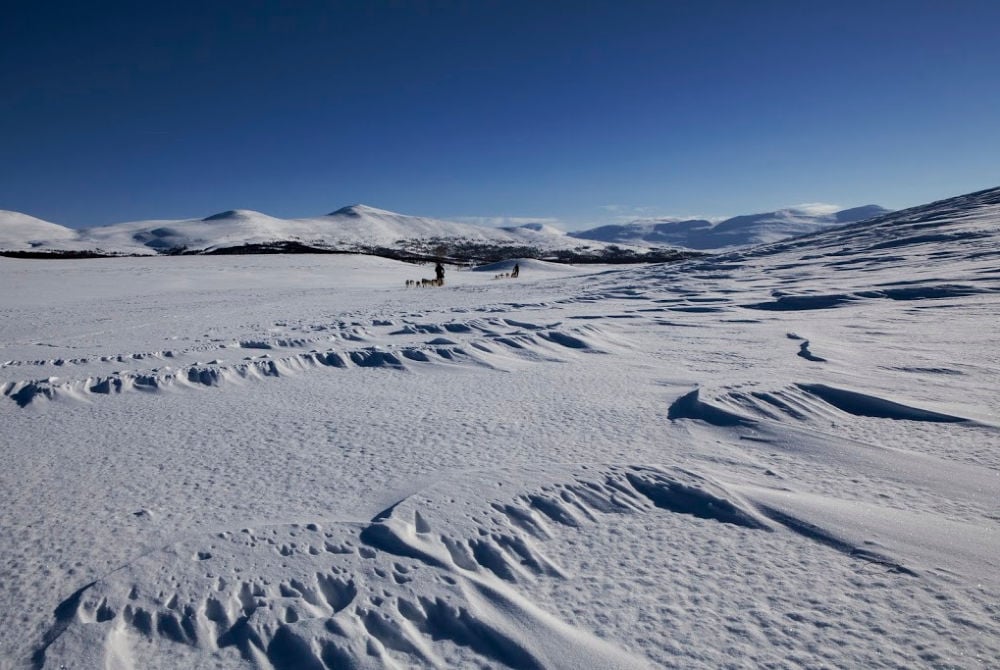 Outdoor-Ticket-Sapmi-Winterlandschaft Sorsele